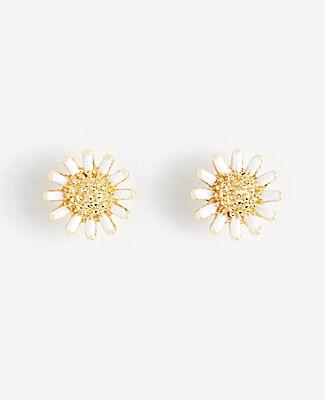 Ann Taylor Daisy Stud Earrings