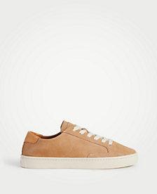 Ann Taylor Soludos Ibiza Suede Sneakers