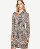 Ann Taylor Spotted Tipped Shirtdress