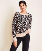 Ann Taylor Brushed Leopard Print Shoulder Button Sweater