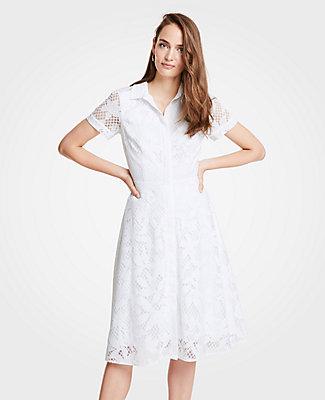 Ann Taylor Floral Lace Shirtdress