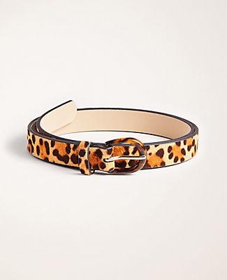 Ann Taylor Leopard Print Haircalf Belt