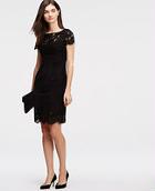 Ann Taylor Lace Sheath Dress