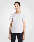 Ann Taylor Poplin Eyelet Flutter Sleeve Top