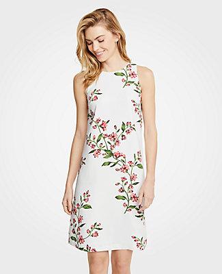 Ann Taylor Floral Sleeveless Shift Dress