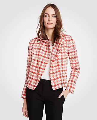 Ann Taylor Gingham Moto Jacket