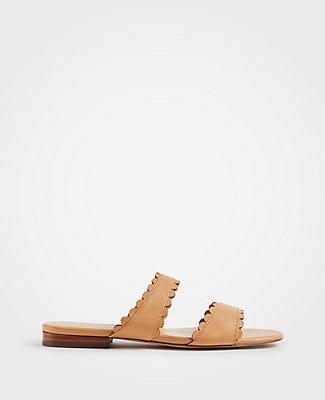 Ann Taylor Jean Scalloped Flat Leather Sandals