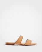 Ann Taylor Jean Scalloped Flat Leather Sandals