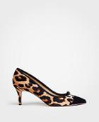 Ann Taylor Maisie Velvet Bow Pumps