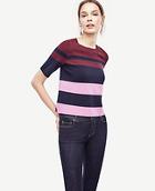 Ann Taylor Colorblocked Knit Topper