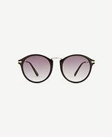 Ann Taylor Sidewalk Sunglasses