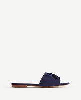 Ann Taylor Nadia Suede Tassel Slides