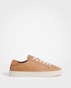 Ann Taylor Ibiza Suede Classic Sneakers