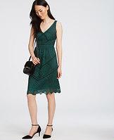 Ann Taylor Lace Flare Dress