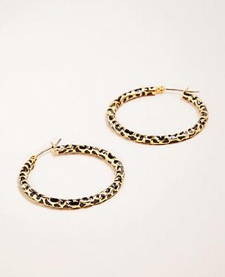 Ann Taylor Animal Print Hoop Earrings