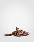 Ann Taylor Thalia Leopard Print Haircalf Buckle Slides