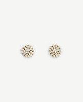 Ann Taylor Pearlized Lucite Studs