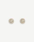 Ann Taylor Pearlized Lucite Studs