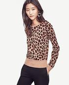 Ann Taylor Leopard Jacquard Sweater