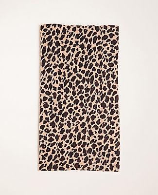 Ann Taylor Leopard Print Cashmere Scarf
