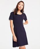 Ann Taylor Contrast Scallop Sweater Shift Dress