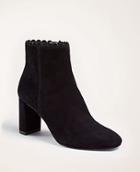 Ann Taylor Llana Suede Scalloped Heeled Booties