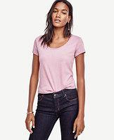 Ann Taylor Scoop Neck Tee
