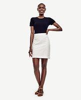 Ann Taylor Eyelet Skirt