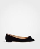Ann Taylor Camryn Suede Bow Flats