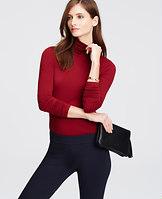 Ann Taylor Long Sleeve Turtleneck