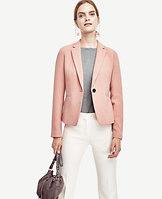 Ann Taylor Single Button Blazer