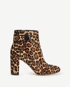 Ann Taylor Imogen Haircalf Booties