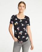 Ann Taylor Meadow Floral Pima Cotton Scoop Neck Tee