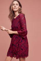Plenty By Tracy Reese Tava Lace Swing Dress