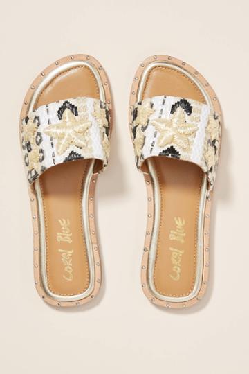 Coral Blue Starfish Slide Sandals