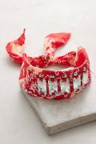 Dannijo Bandana Choker Necklace