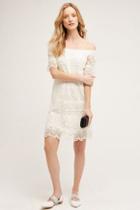 Velvet By Graham And Spencer Eyelet Swing Dress