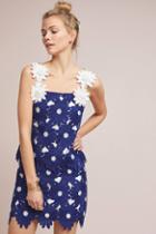 Hutch Daisy Lace Mini Skirt