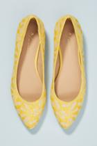 Anthropologie Lovely In Lace Ballet Flats