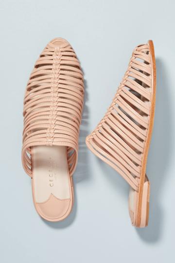 Cecelia New York Gloria Slides
