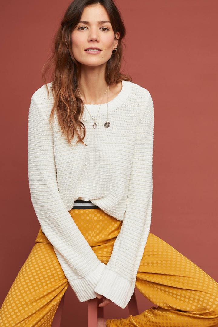 Moth Chenille Shine Pullover