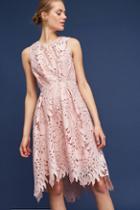 Eva Franco Palm & Lace Dress