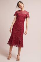 Shoshanna Rowena Lace Dress