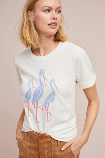Sol Angeles Pelican Graphic Tee