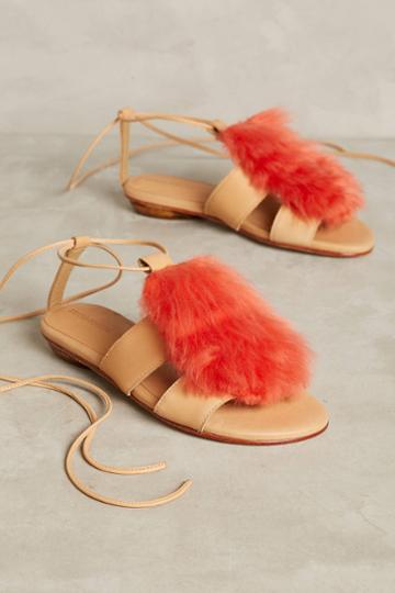 Ariana Bohling Pip Gladiator Sandals