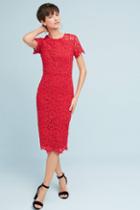 Shoshanna Laced Column Dress