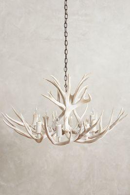 Anthropologie Shed Antler Chandelier