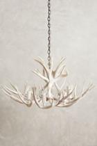 Anthropologie Shed Antler Chandelier