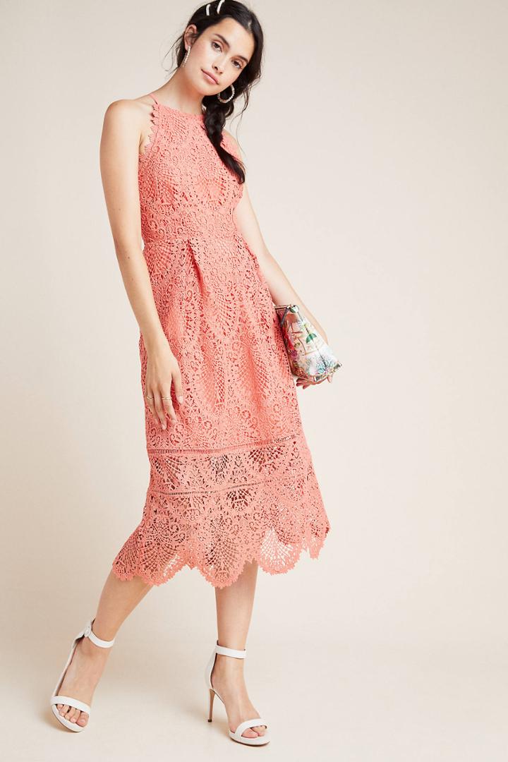 Eri + Ali Ava Lace Midi Dress