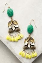 Jill Schwartz Sunflower Drops